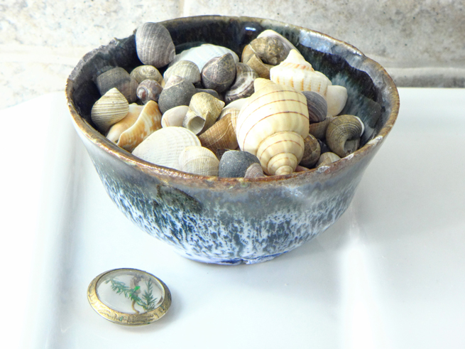 picture bowl of shells